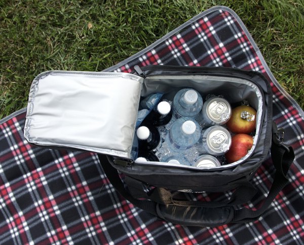 CB-24V Smart Tech Cooler Bag